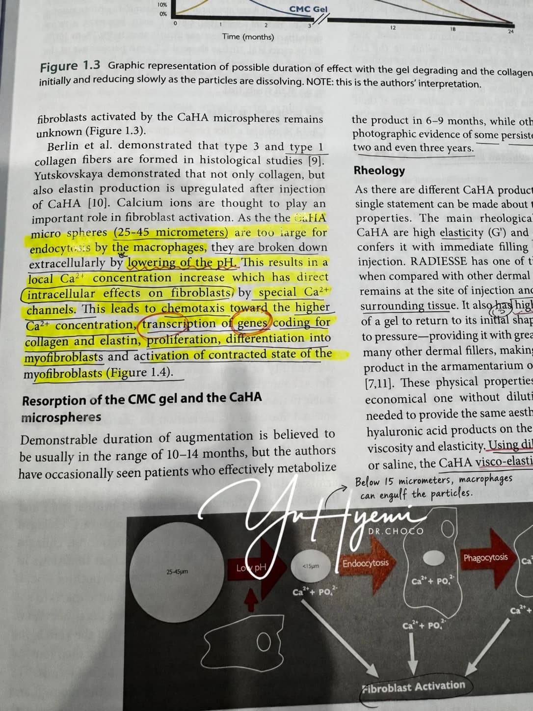 Highlighted and annotated source textbook page — AI-assisted English text adaptation; not an unedited medical original