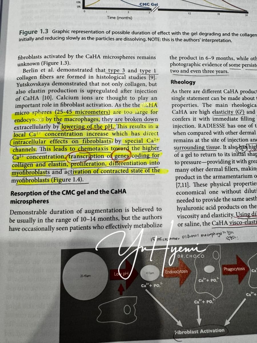 원문 교재의 강조·필기 자료