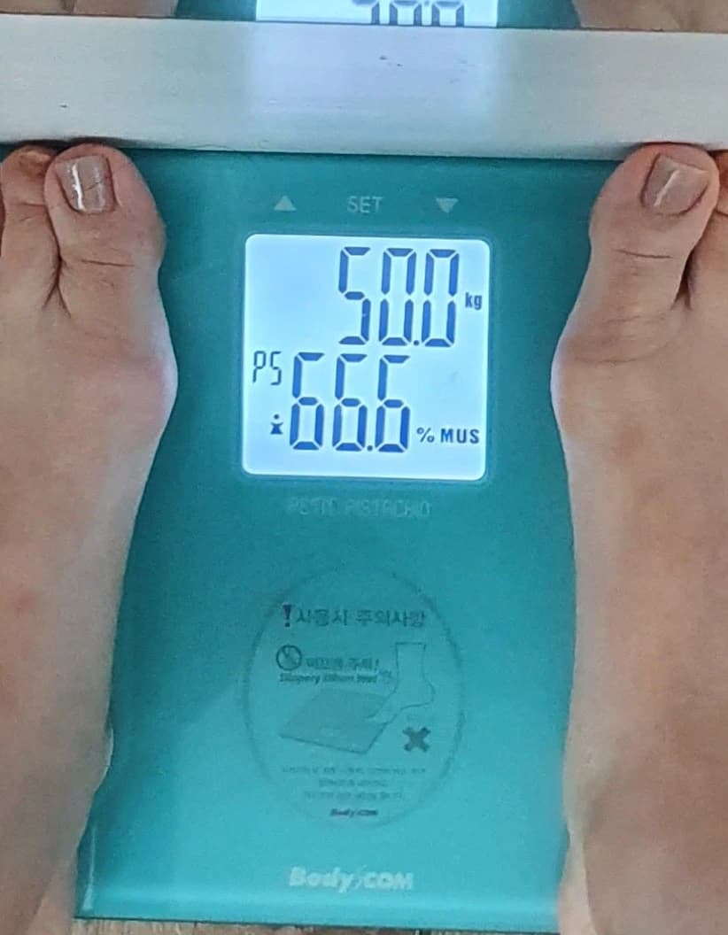 원문에 수록된 당시 사진 또는 자료