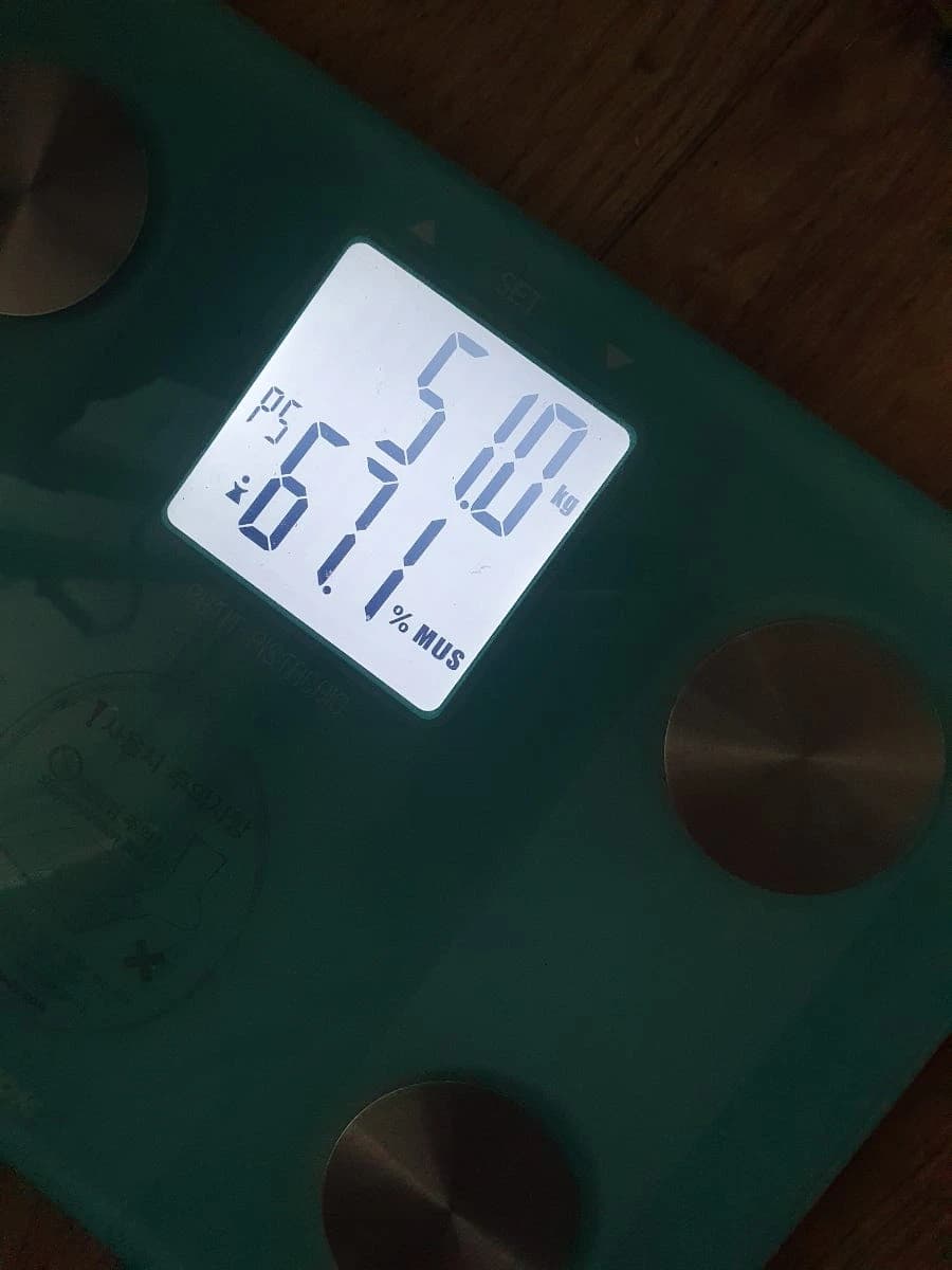원문에 수록된 당시 사진 또는 자료 6