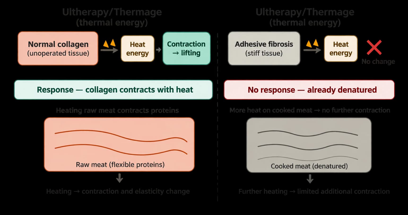 Tissue changes after energy treatments: limits of an analogy — source material 5 — AI-assisted English adaptation; not an unedited medical original