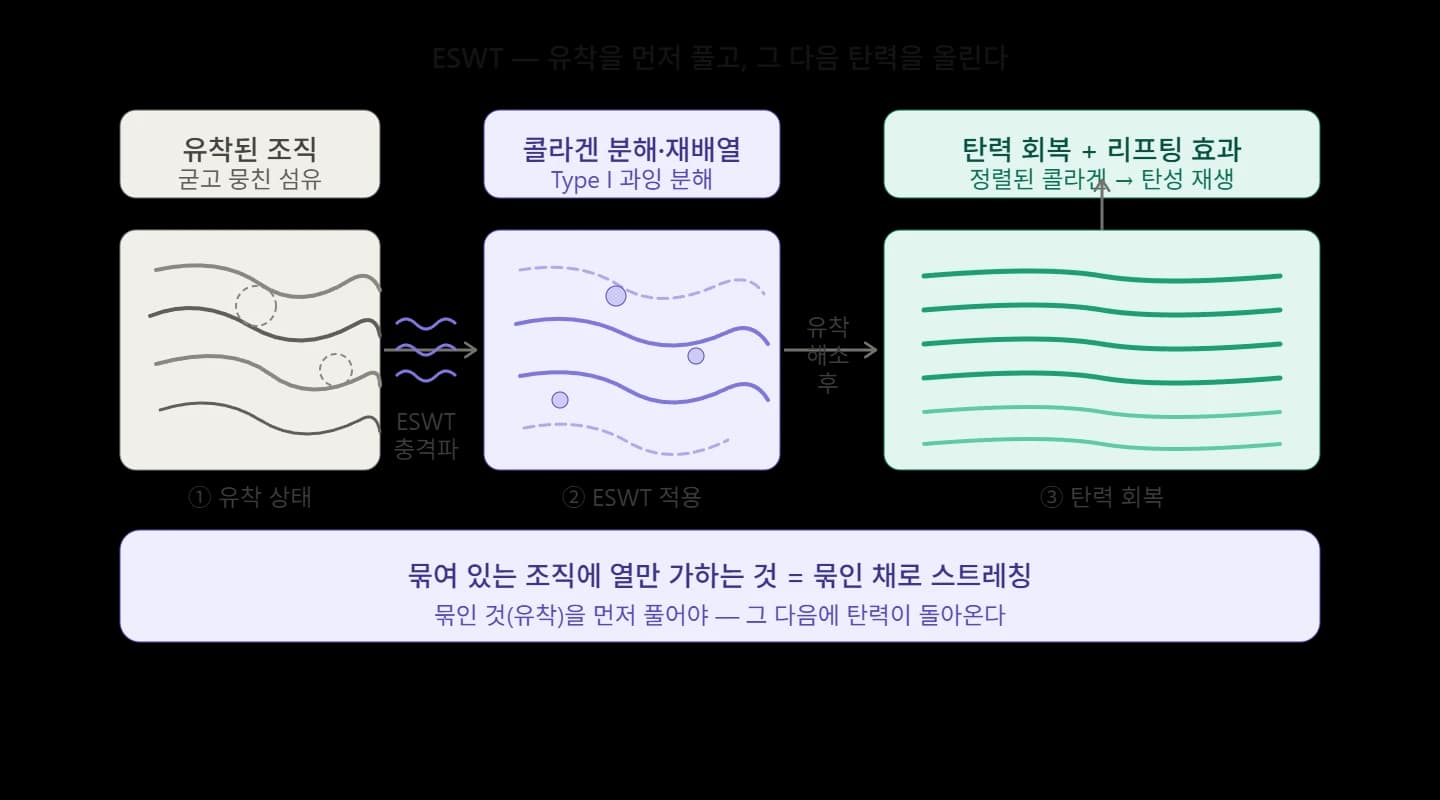 에너지 시술 후 조직 변화와 비유의 한계 — 원문 자료 6