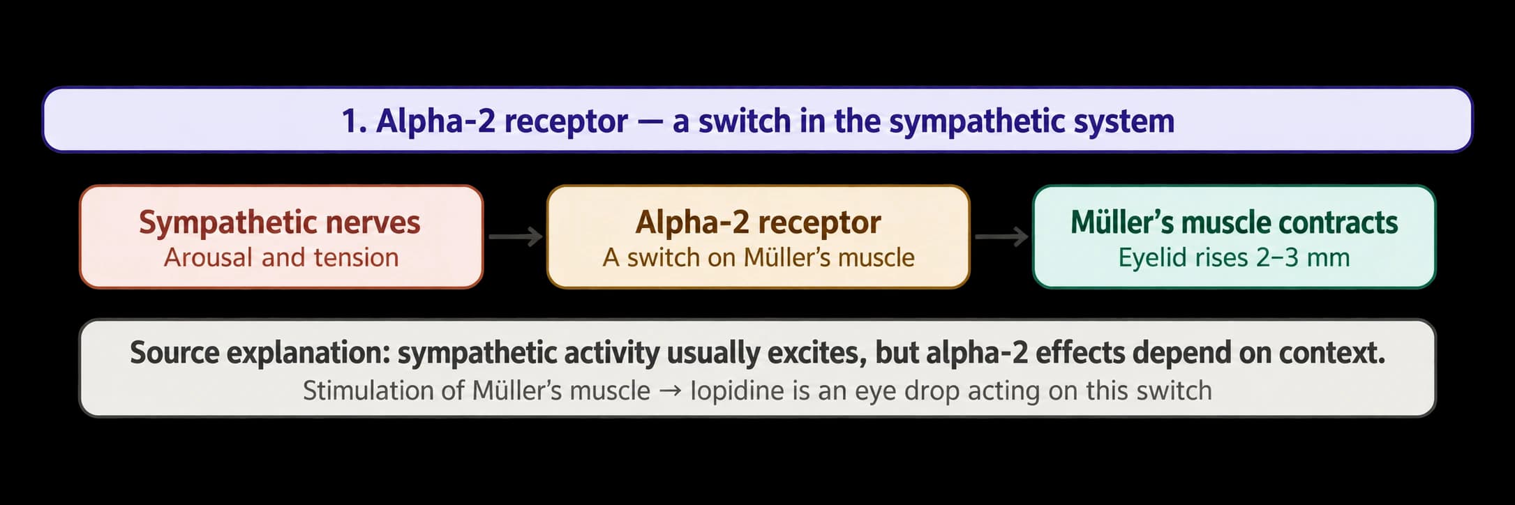 Eye-drop research for eyelid ptosis after botulinum toxin — source material 3 — AI-assisted English adaptation; not an unedited medical original