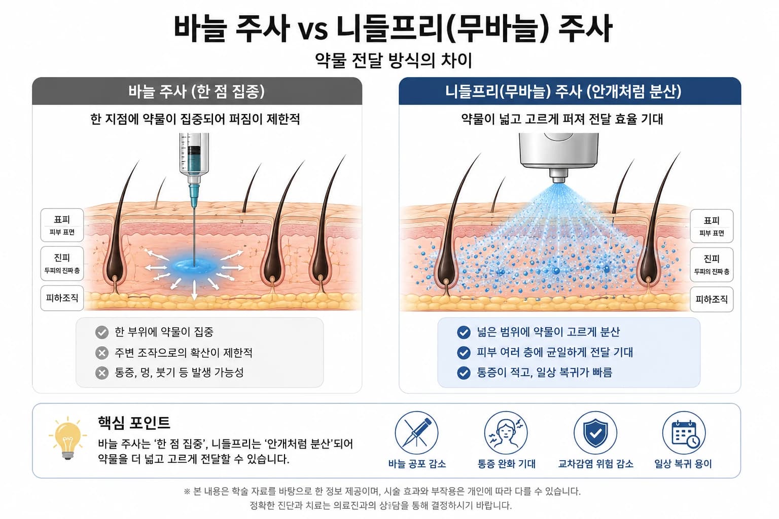 모발과 두피를 설명하는 원문 도해