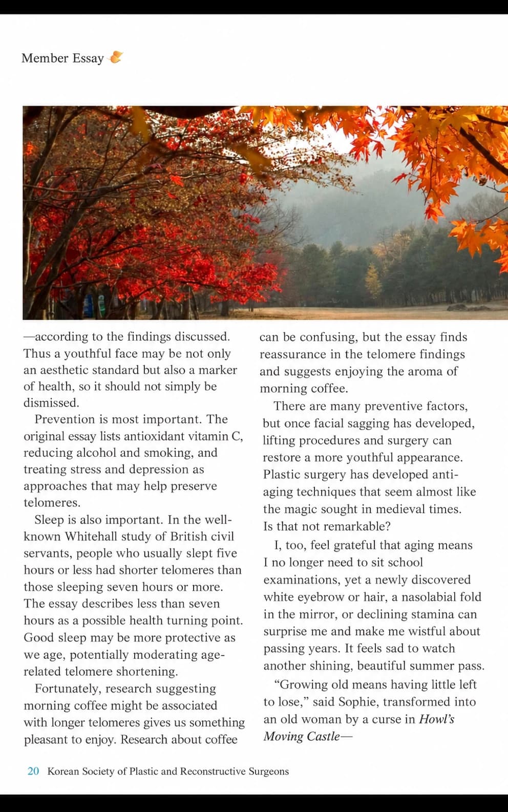 AI-assisted English text localization of original reference image 5