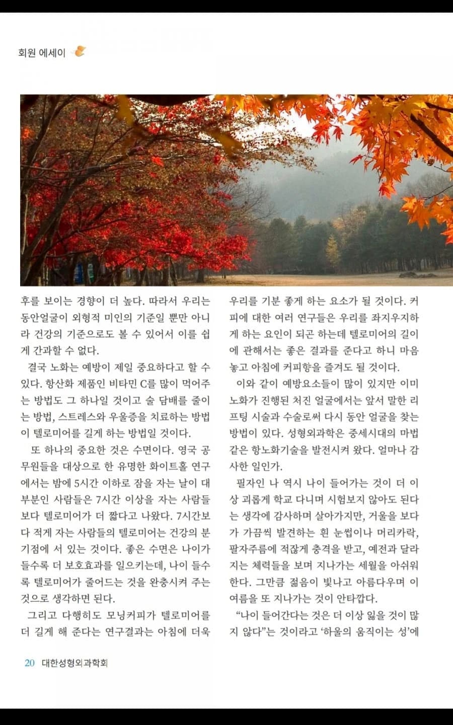 원문에 수록된 당시 사진 또는 자료 5