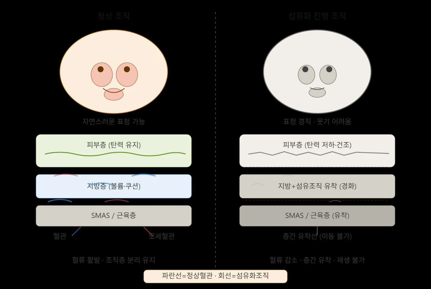 조직 상태를 비교한 원문 가설도 — 원문의 가설이며 인과관계·효과 입증이 아님