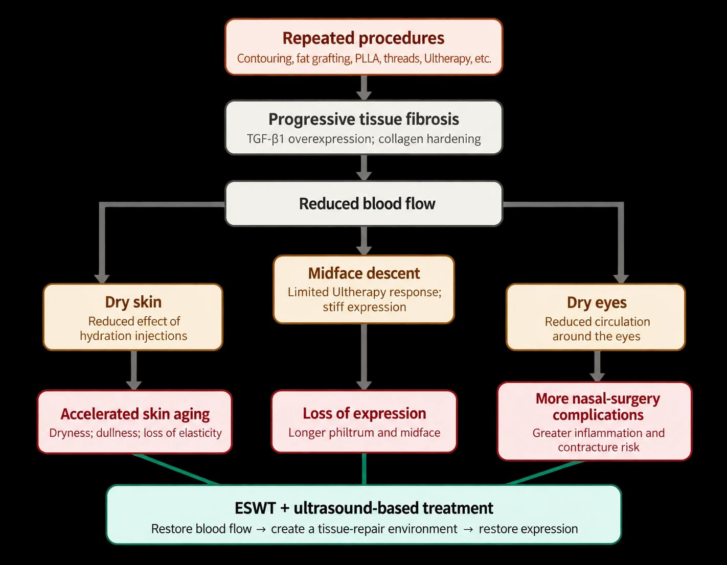 Source hypothesis flowchart: fibrosis, symptoms and treatment — source hypothesis, not proof of causation or effectiveness — AI-assisted English text adaptation; not an unedited medical original