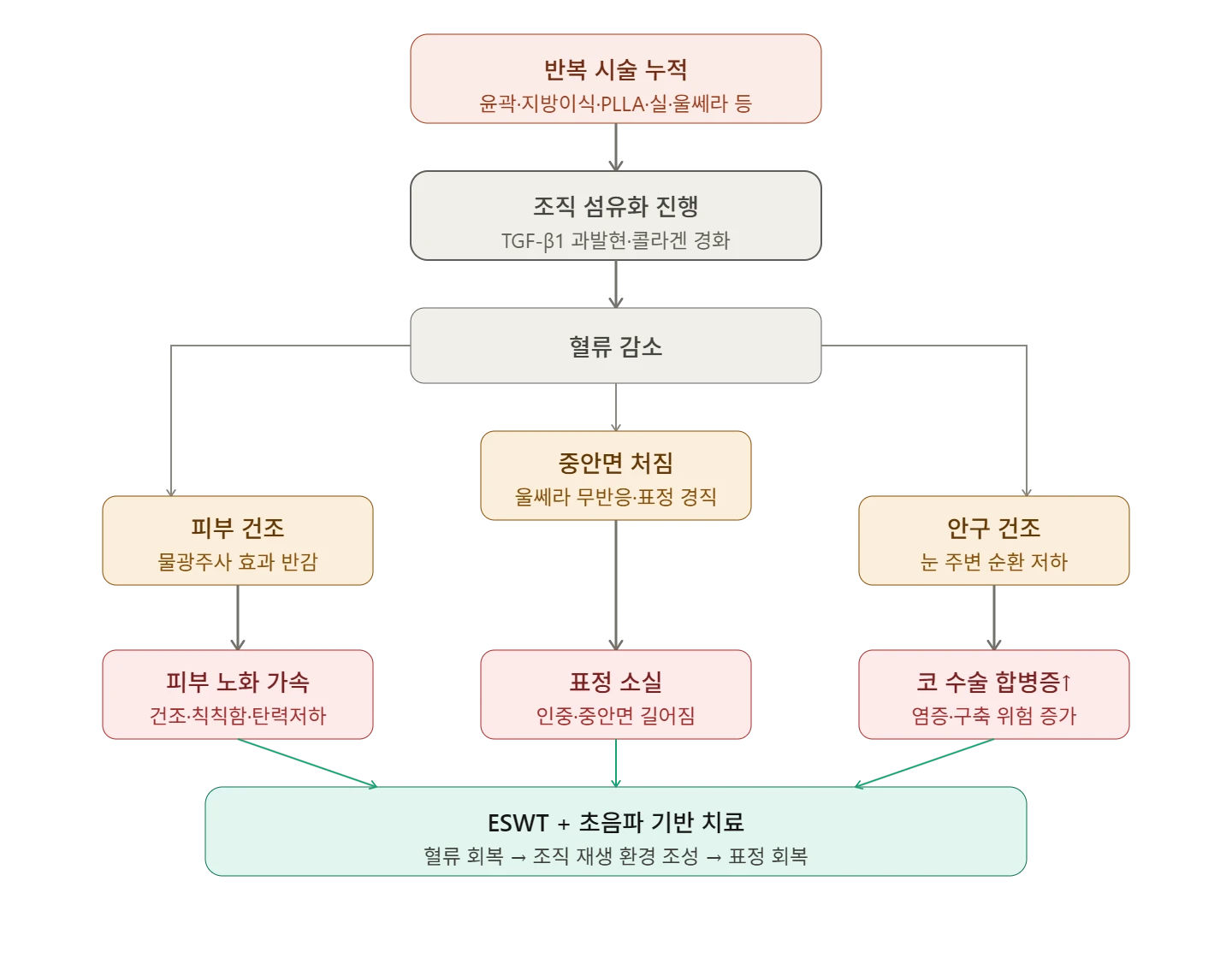 원문의 섬유화·증상·치료 가설 흐름도 — 원문의 가설이며 인과관계·효과 입증이 아님