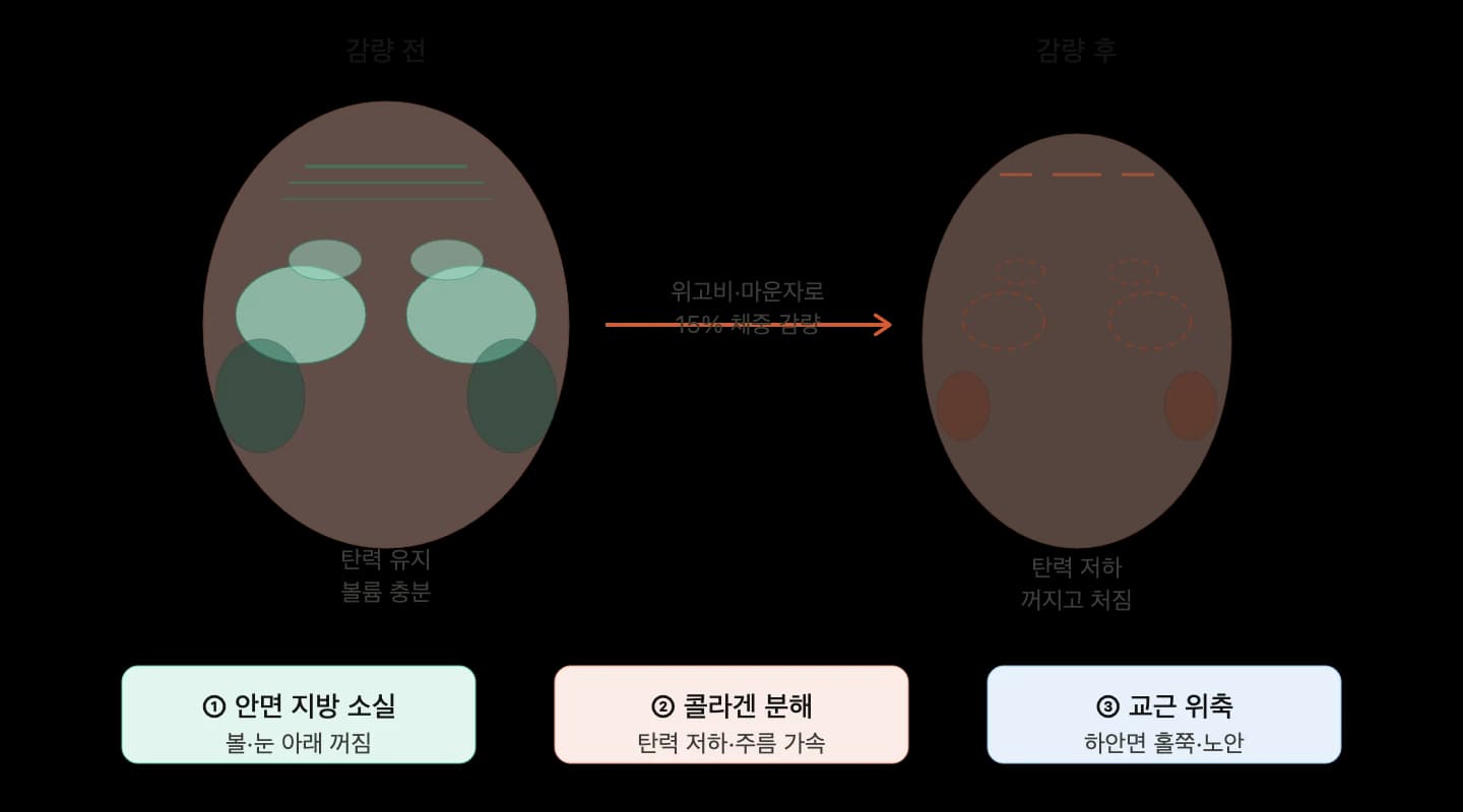 GLP-1 치료 중 근육 유지에 관한 고찰 — 원문 자료 1