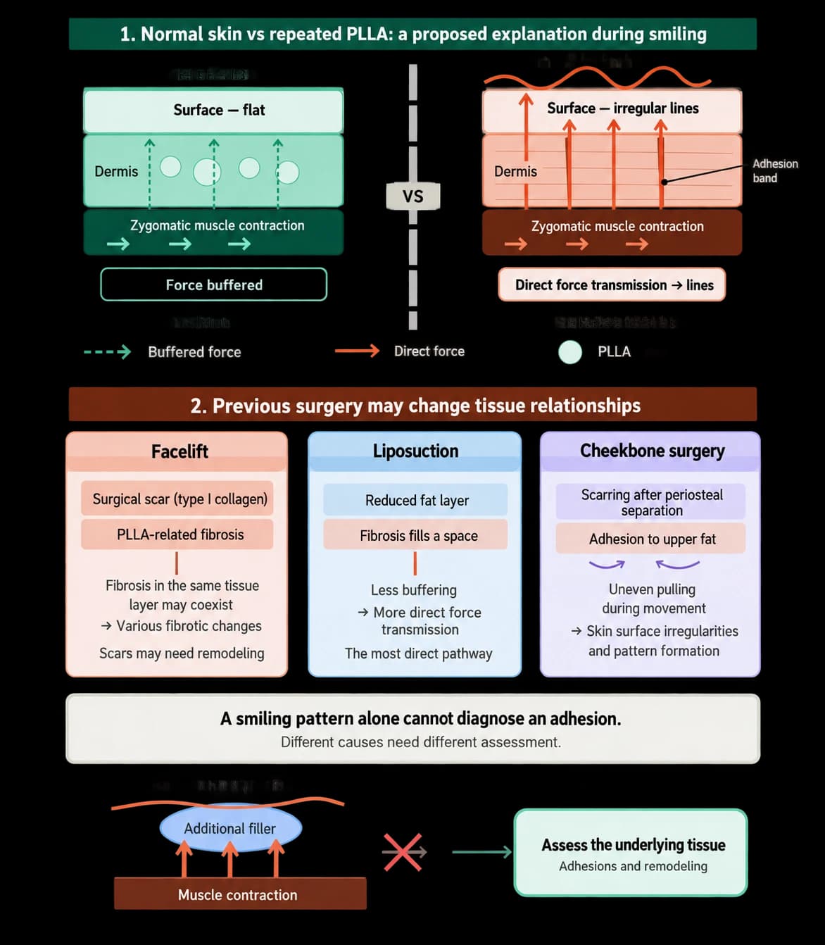 Assessing nasolabial folds after biostimulator treatment — source material 2 — AI-assisted English adaptation; not an unedited medical original