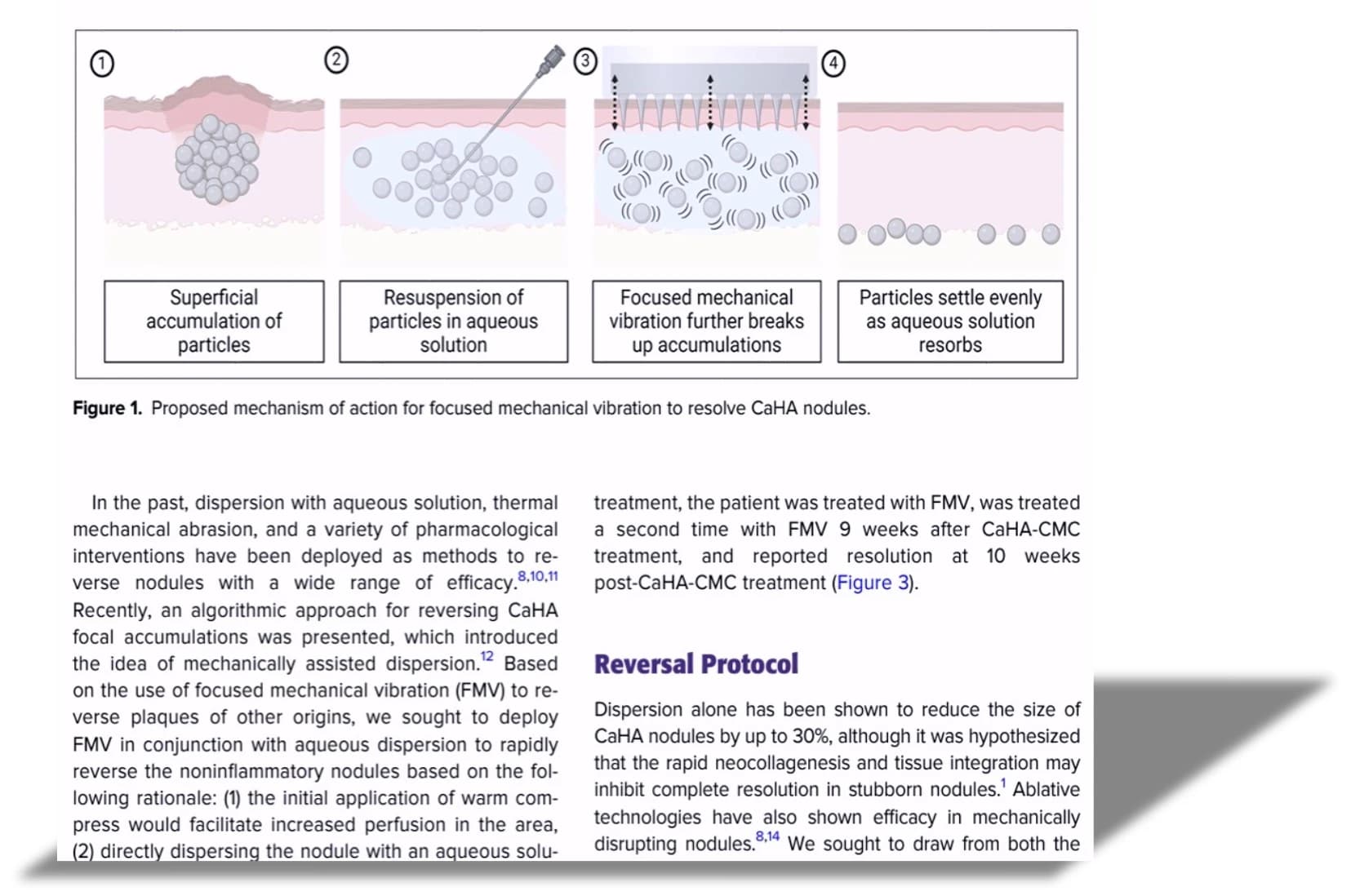 Particle-distribution hypothesis in the source paper