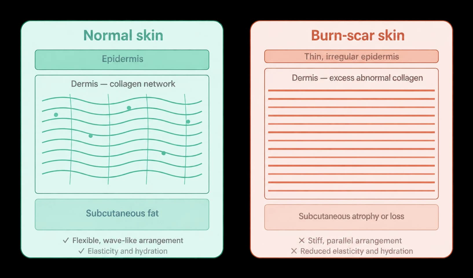 CaHA and burn scars: reading a pilot study — source material 2 — AI-assisted English adaptation; not an unedited medical original