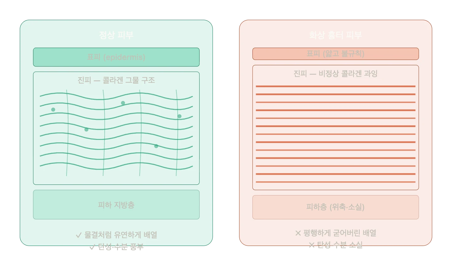 화상 흉터와 CaHA: 파일럿 연구 읽기 — 원문 자료 2
