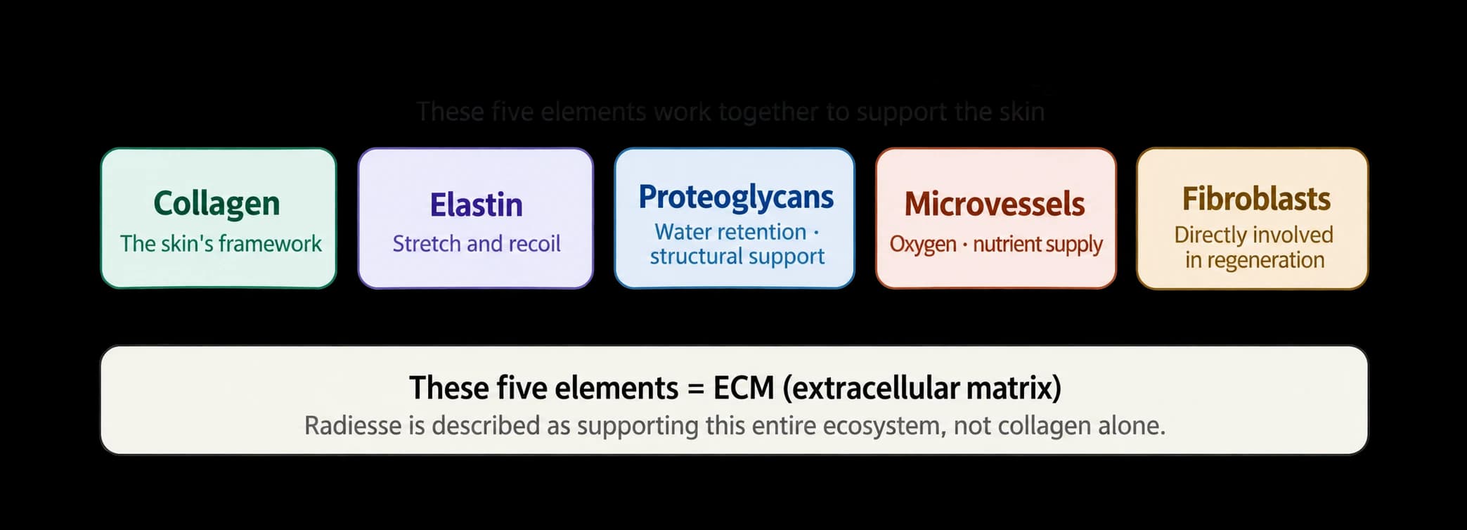 Source diagram explaining components of the skin extracellular matrix