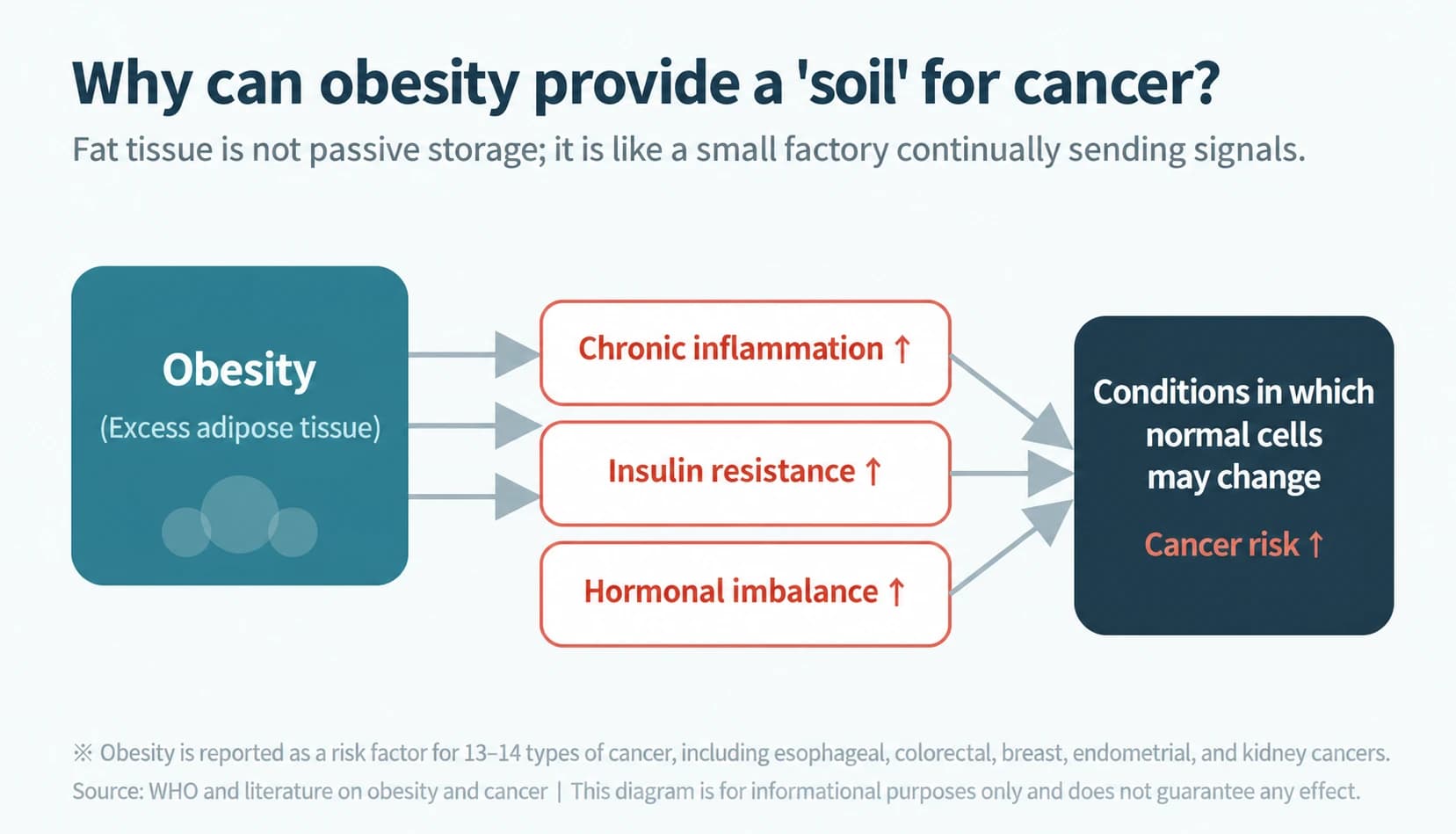 Obesity-related inflammation, insulin resistance, and hormonal imbalance in a conceptual cancer-risk diagram