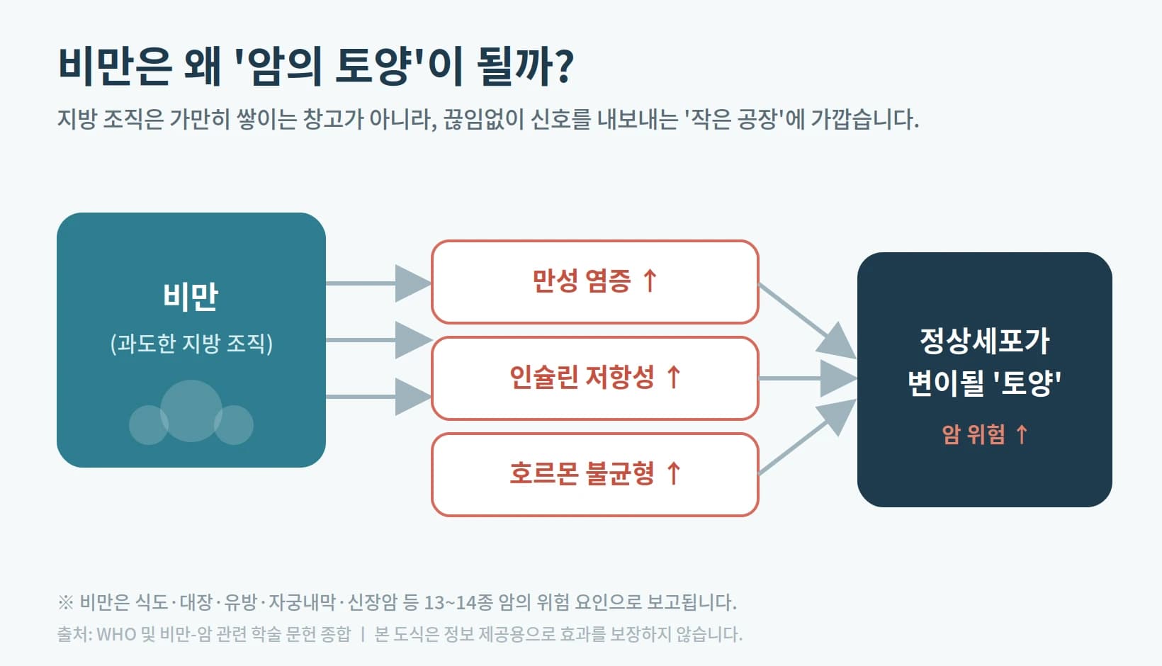 비만과 암의 관련 기전을 설명하는 도표