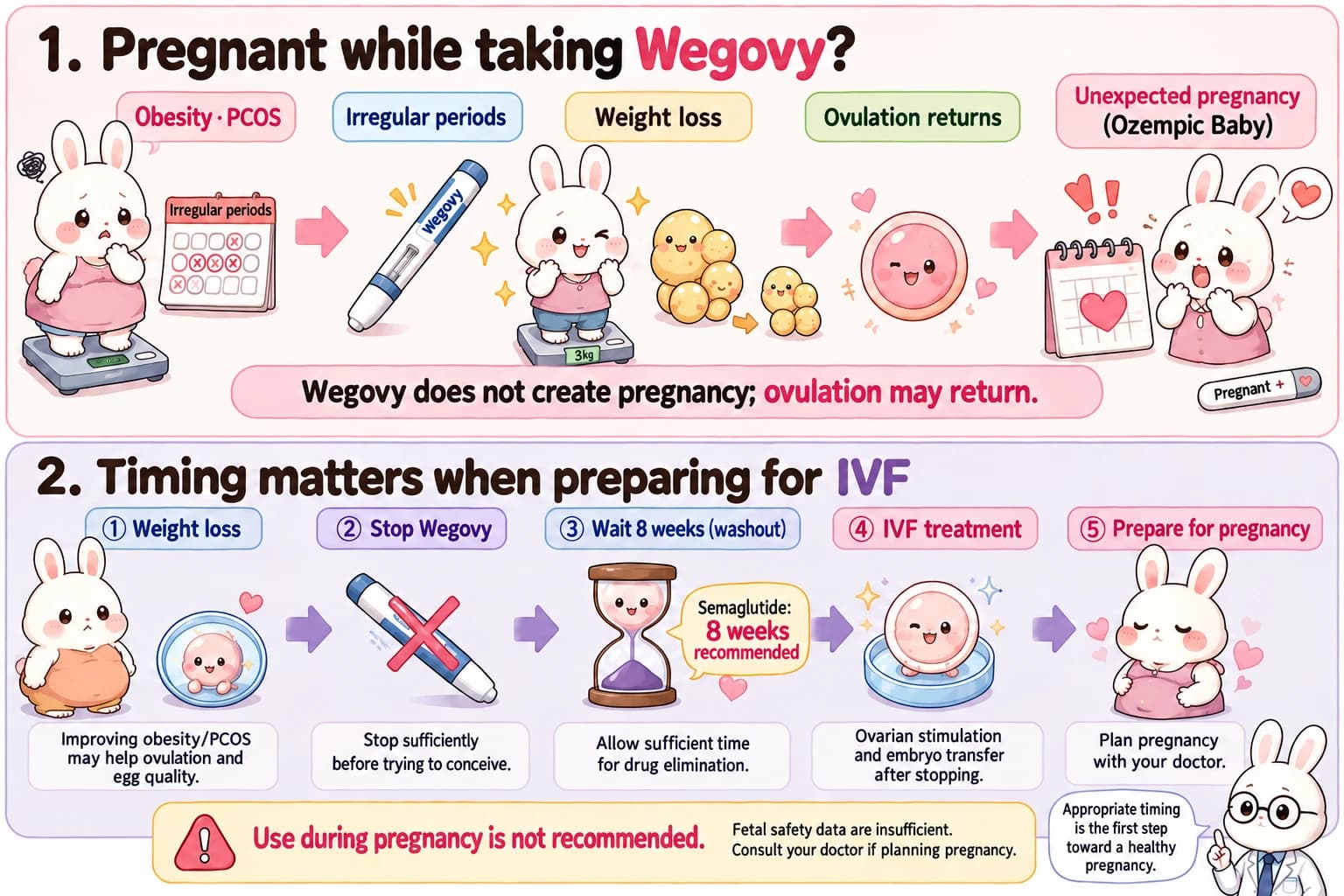 A diagram of weight loss, ovulation, and medication timing before pregnancy or IVF