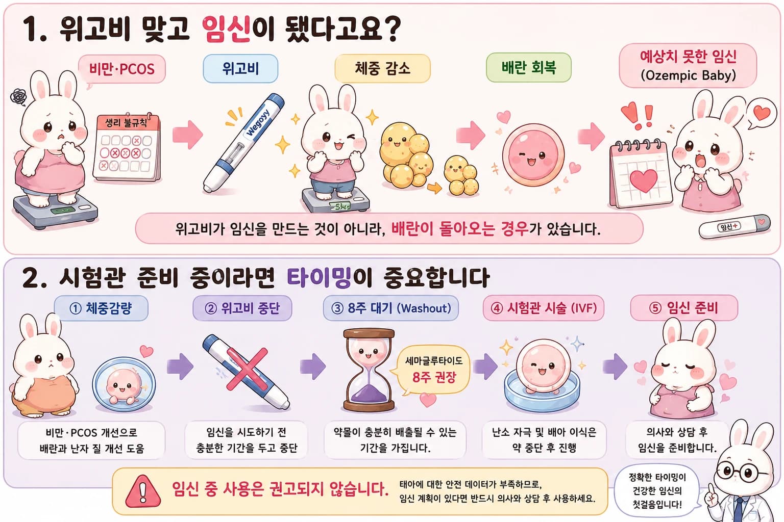 체중 감량 약물과 임신 관련 정보를 정리한 원문 도해