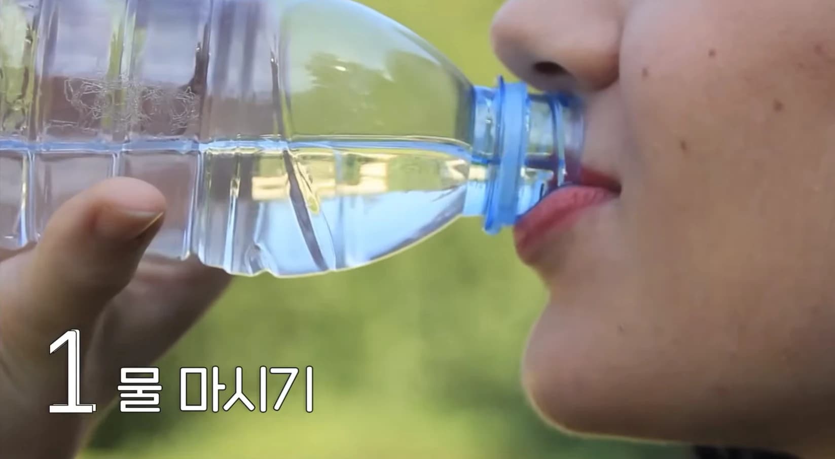 원문 당시 자료 — 재게시 검수 대기