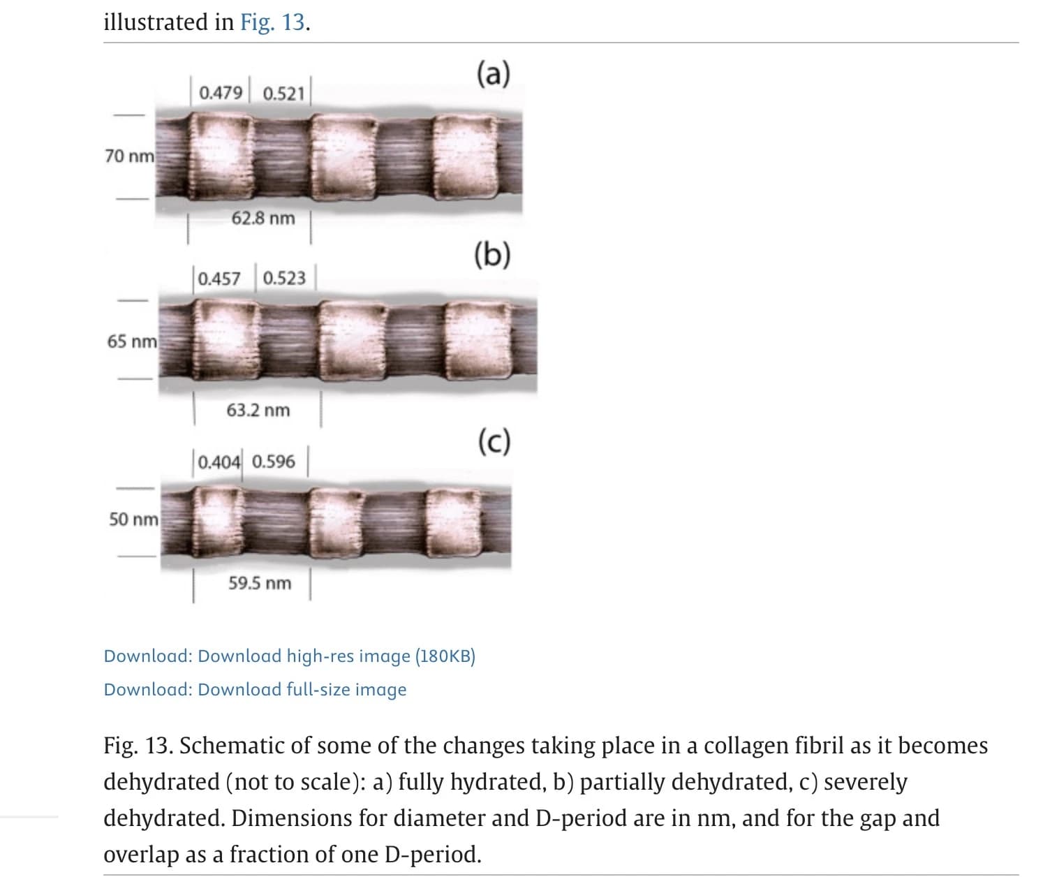 Collagen-dehydration structural diagram