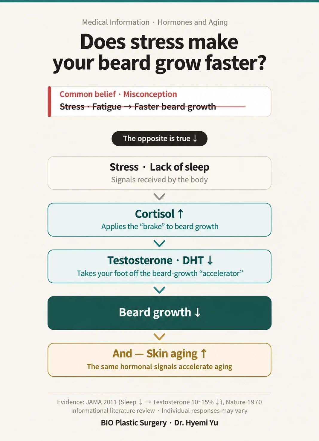 A flowchart explaining the relationship between stress and beard growth